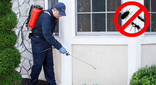 Balatçık Bit İlaçlama böcek ilaçlama ve haşere kontrolü — ilaclama-tr.com